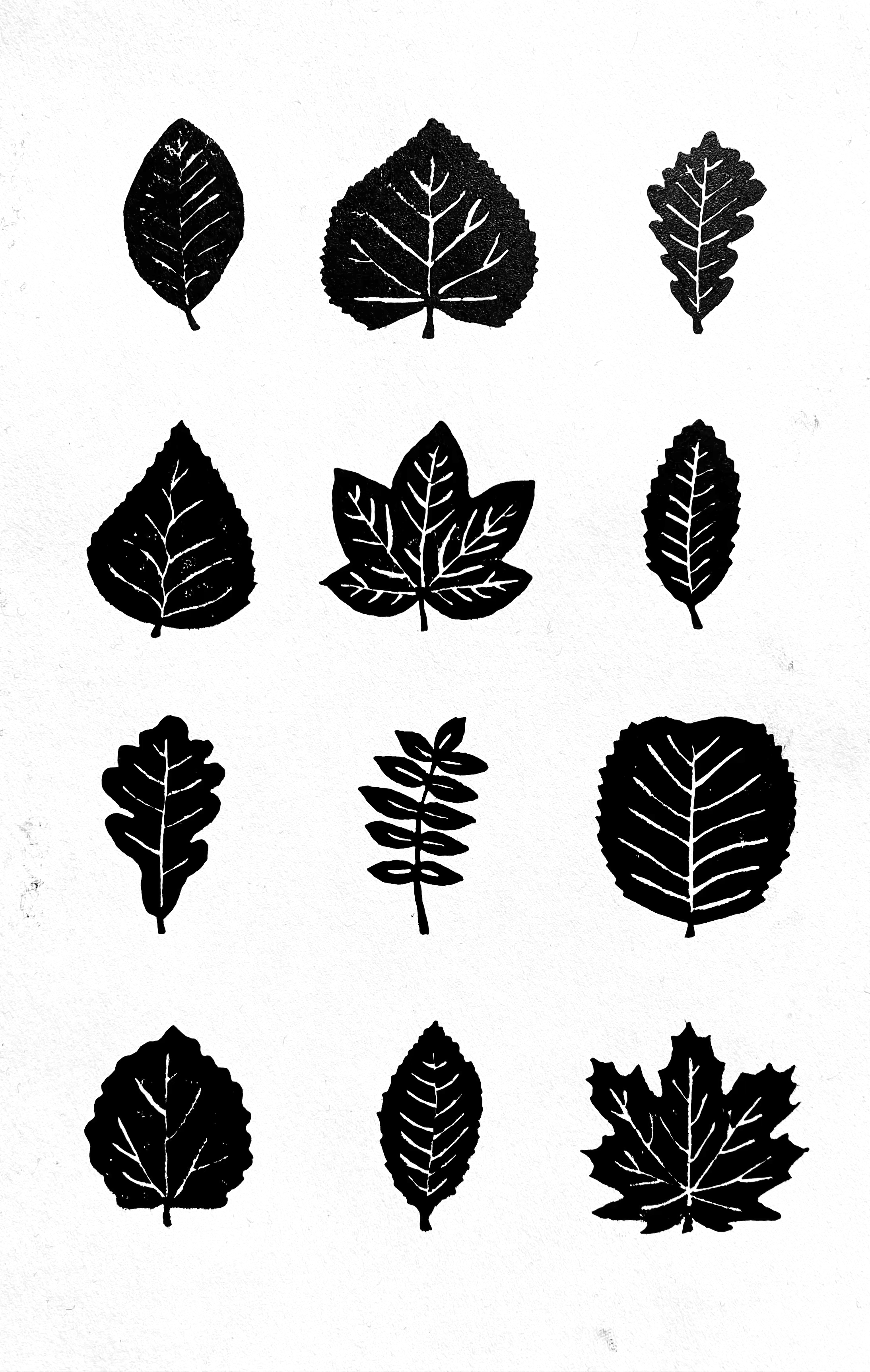 Twelve leaves linocut print
